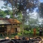 Rumah Panggung di Pabuaran Sukabumi Ludes Terbakar, IRT 52 Tahun Meninggal Dunia