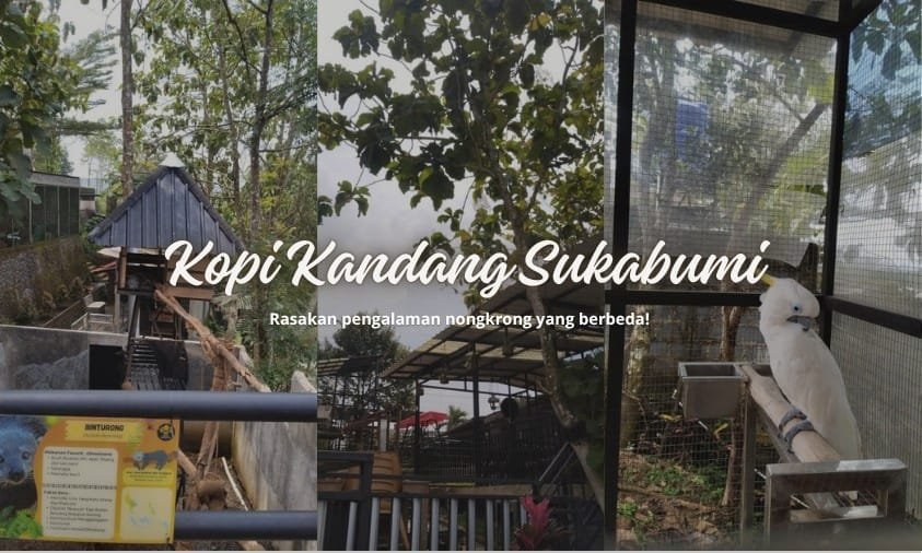 Ngopi Sambil Melihat Satwa, Ini Keunikan Kopi Kandang di Sukabumi