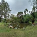 Menikmati Hamparan Rumput & Danau di Kampung Cakrawala, Wisata Asri Selabintana Sukabumi