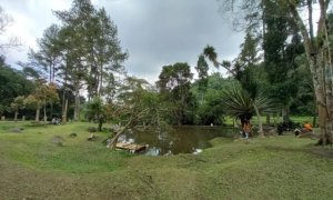 Menikmati Hamparan Rumput & Danau di Kampung Cakrawala, Wisata Asri Selabintana Sukabumi