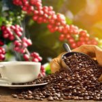 7 Fakta Menarik tentang Kopi yang Wajib Kamu Tahu