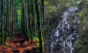 Pesona Curug Tangga dan Jalur Damar, Surga Tersembunyi di Goalpara Sukabumi