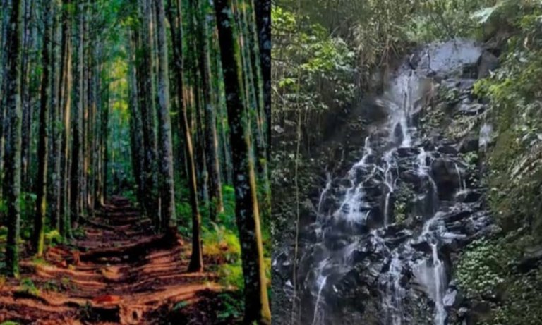 Pesona Curug Tangga dan Jalur Damar, Surga Tersembunyi di Goalpara Sukabumi